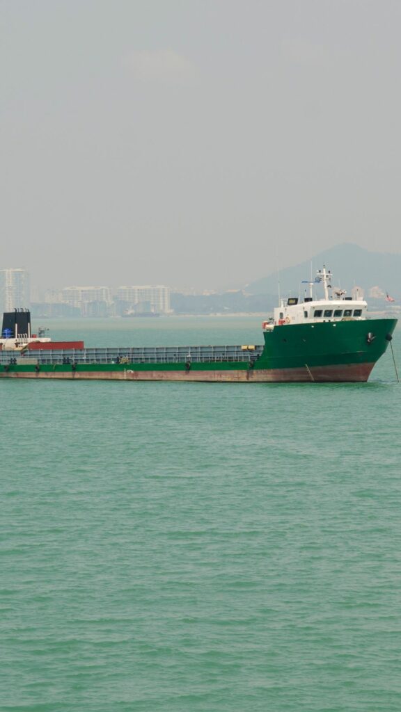 A large green and red cargo ship is anchored on a calm body of water. The background shows a hazy city skyline and distant hills under a cloudy sky.