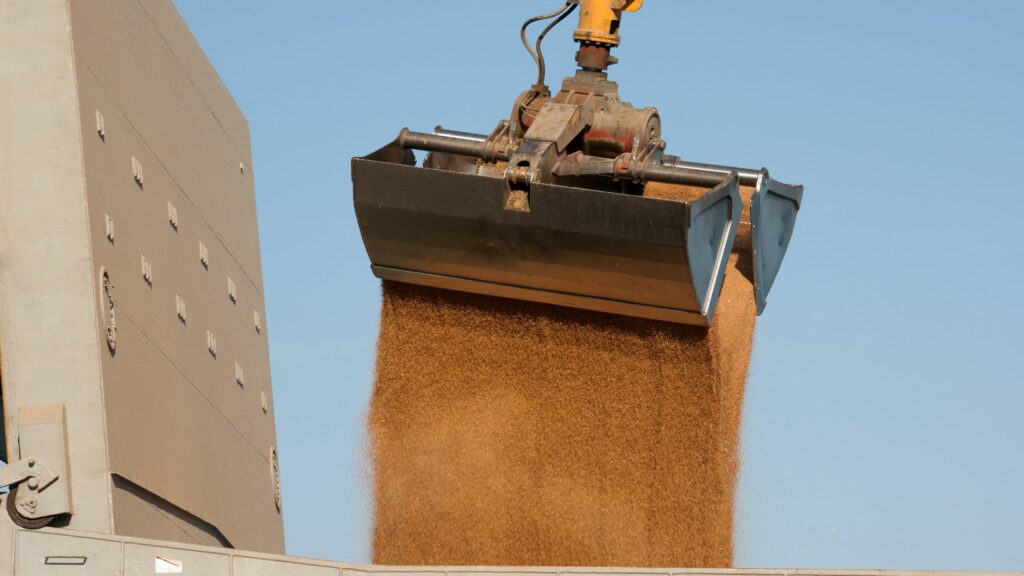 A mechanical grabber is releasing a large quantity of grain into a container against a clear blue sky. The equipment appears to be part of an industrial process, likely related to agriculture or shipping.